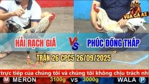 Trận 26 CPC5 26/9/2025 - Anh Hải Rạch Giá Và Anh Phúc Đồng Tháp