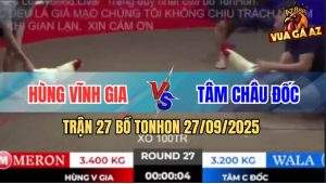 Trận 27 Bồ TonHon 27/09/2025 - Anh Hùng Vĩnh Gia Và Anh Tâm Châu Đốc