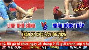 Trận 27 CPC5 22/9/2025 - Anh Linh Nhà Bàng Và Anh Nhàn Đồng Tháp