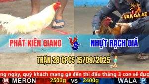 Trận 28 CPC5 15/9/2025 - Anh Phát Kiên Giang Và Anh Nhựt Rạch Giá