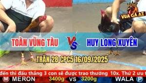 Trận 28 CPC5 16/9/2025 - Anh Toàn Vũng Tàu Và Anh Huy Long Xuyên