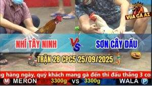 Trận 28 CPC5 25/9/2025 - Anh Nhí Tây Ninh Và Anh Sơn Cây Dầu