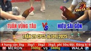 Trận 29 CPC5 16/9/2025 - Anh Tuấn Vũng Tàu Và Anh Hiếu Sài Gòn
