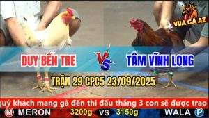 Trận 29 CPC5 23/9/2025 - Anh Duy Bến Tre Và Anh Tâm Vĩnh Long