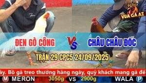 Trận 29 CPC5 24/9/2025 - Anh Đen Gò Công Và Anh Châu Châu Đốc