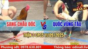Trận 3 CPC5 11/9/2025 - Anh Sang Châu Đốc Và Anh Quốc Vũng Tàu