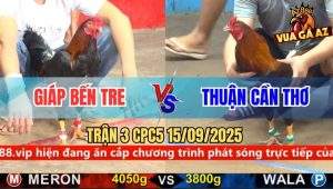 Trận 3 CPC5 15/9/2025 - Anh Giáp Bến Tre Và Anh Thuận Cần Thơ