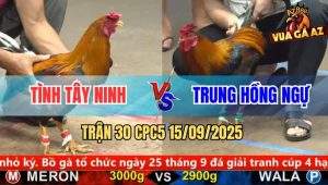 Trận 30 CPC5 15/9/2025 - Anh Tình Tây Ninh Và Anh Trung Hồng Ngự