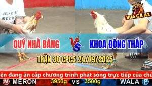 Trận 30 CPC5 24/9/2025 - Anh Quý Nhà Bàng Và Anh Khoa Đồng Tháp