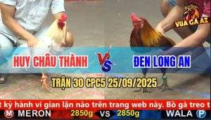 Trận 30 CPC5 25/9/2025 - Anh Huy Châu Thành Và Anh Đen Long An