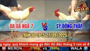 Trận 30 CPC5 27/9/2025 - Anh Ba Gà Ngã 7 Và Anh Sỹ Đồng Tháp