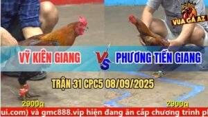 Trận 31 CPC5 8/9/2025 - Anh Vỹ Kiên Giang Và Anh Phương Tiền Giang