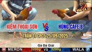 Trận 31 CPC5 25/9/2025 - Anh Kiệm Thoại Sơn Và Anh Hùng Cafe B