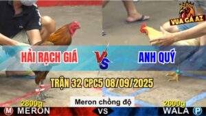 Trận 32 CPC5 8/9/2025 - Anh Hải Rạch Giá Và Anh Quý