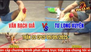 Trận 32 CPC5 9/9/2025 - Anh Vấn Rạch Giá Và Anh Tư Long Xuyên