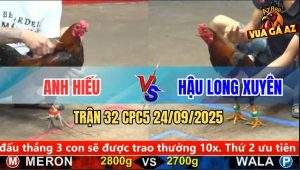 Trận 32 CPC5 24/9/2025 - Anh Hiếu Và Anh Hậu Long Xuyên