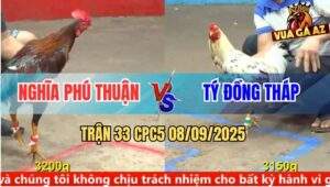 Trận 33 CPC5 8/9/2025 - Anh Nghĩa Phú Thuận Và Anh Tý Đồng Tháp