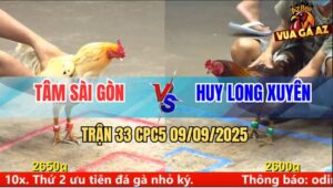 Trận 33 CPC5 9/9/2025 - Anh Tâm Sài Gòn Và Anh Huy Long Xuyên