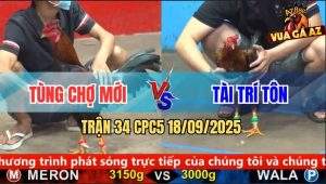 Trận 34 CPC5 18/9/2025 - Anh Tùng Chợ Mới Và Anh Tài Trí Tôn