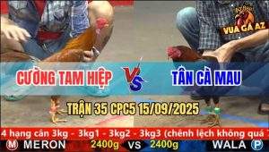 Trận 35 CPC5 15/9/2025 - Anh Cường Tam Hiệp Và Anh Tân Cà Mau