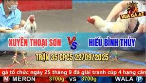 Trận 35 CPC5 22/9/2025 - Anh Xuyên Thoại Sơn Và Anh Hiếu Bình Thủy