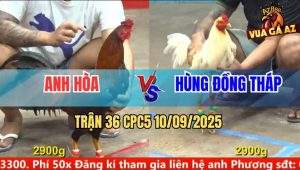 Trận 36 CPC5 10/9/2025 - Anh Hòa Và Anh Hùng Đồng Tháp