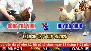 Trận 36 CPC5 15/9/2025 - Anh Công Trà Vinh Và Anh Huy Ba Chúc
