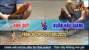 Trận 36 CPC5 22/9/2025 - Anh Quý Và Anh Xuân Hậu Giang