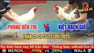 Trận 39 CPC5 25/9/2025 - Anh Phong Bến Tre Và Anh Kiệt Rạch Giá