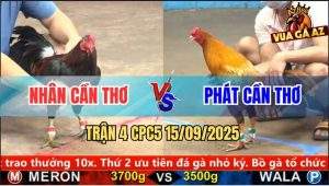 Trận 4 CPC5 15/9/2025 - Anh Nhân Cần Thơ Và Anh Phát Cần Thơ