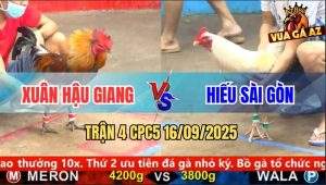 Trận 4 CPC5 16/9/2025 - Anh Xuân Hậu Giang Và Anh Hiếu Sài Gòn