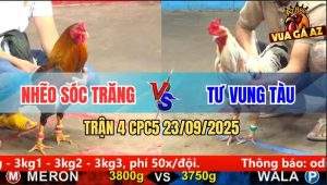 Trận 4 CPC5 23/9/2025 - Anh Nhẽo Sóc Trăng Và Anh Tư Vũng Tàu