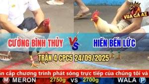 Trận 4 CPC5 24/9/2025 - Anh Cường Bình Thủy Và Anh Hiền Bến Lức