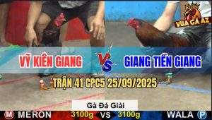 Trận 41 CPC5 25/9/2025 - Anh Vỹ Kiên Giang Gặp Anh Giang Tiền Giang