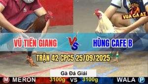 Trận 42 CPC5 25/9/2025 - Anh Vũ Tiền Giang Gặp Anh Hùng Cafe B