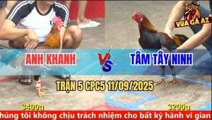 Trận 5 CPC5 11/9/2025 - Anh Khanh Và Anh Tâm Tây Ninh