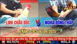 Trận 5 CPC5 16/9/2025 - Anh Linh Châu Đốc Và Anh Nghĩa Đồng Tháp