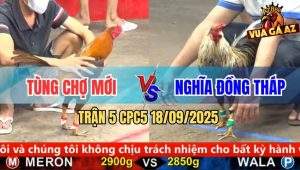 Trận 5 CPC5 18/9/2025 - Anh Tùng Chợ Mới Và Anh Nghĩa Đồng Tháp