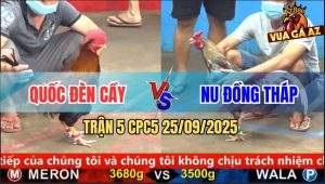 Trận 5 CPC5 25/9/2025 - Xám Cú Anh Nu Vô Trong Đâm Điều Bay Bồ Quá Hay