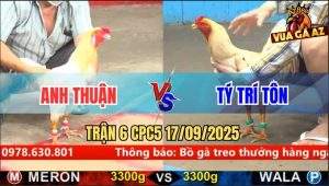 Trận 6 CPC5 17/9/2025 - Anh Thuận Và Anh Tý Trí Tôn
