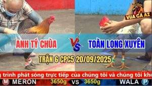 Trận 6 CPC5 20/9/2025 - Điều Cọp Anh Tý Chùa Đâm Phát Nào Dính Phát Đó