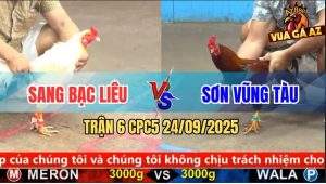 Trận 6 CPC5 24/9/2025 - Anh Sang Bạc Liêu Và Anh Sơn Vũng Tàu