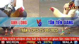 Trận 6 CPC5 25/9/2025 - Gà Que Anh Long Đâm Gà Úa Không Nhấc Được Chân