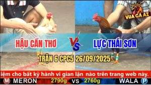 Trận 6 CPC5 26/9/2025 - Anh Hậu Cần Thơ Và Anh Lực Thái Sơn