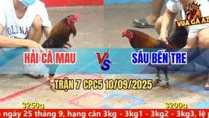 Trận 7 CPC5 10/9/2025 - Anh Hải Cà Mau Và Anh Sáu Bến Tre