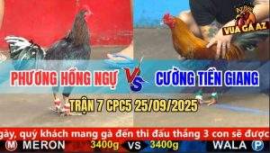 Trận 7 CPC5 25/9/2025 - Anh Phương Hồng Ngự Và Anh Cường Tiền Giang
