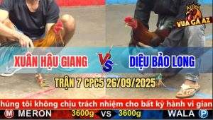 Trận 7 CPC5 26/9/2025 - Anh Xuân Hậu Giang Và Anh Diệu Bảo Long