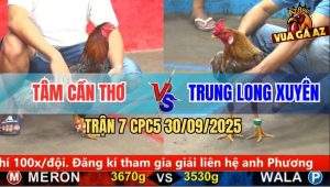 Trận 7 CPC5 30/9/2025 - Anh Tâm Cần Thơ Và Anh Trung Long Xuyên