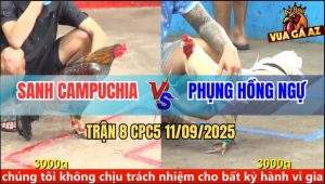 Trận 8 CPC5 11/9/2025 - Anh Sanh Campuchia Và Anh Phụng Hồng Ngự