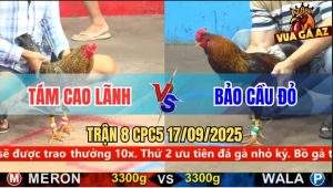 Trận 8 CPC5 17/9/2025 - Anh Tám Cao Lãnh Và Anh Bảo Cầu Đỏ